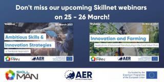 Territorial approaches to innovation: spotlight on rural areas