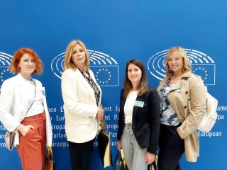 Europski parlament 11 4 grupa prilagođeno