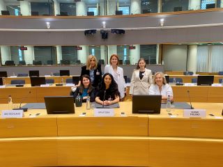 Europski parlament 4 grupa prilagođeno