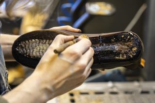 Sustainable products: The Commission is consulted on new priorities for products