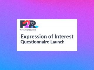 Pathways2Resilience - Questionnaire for Expressions of Interest  