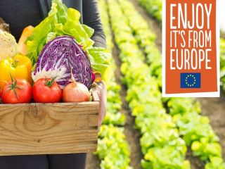 Calls: Promotion of EU Agricultural Products 
