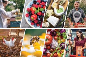 Call Announcement: Promotion of Agri-Food Products 2024