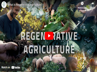 Two-week course: Regenerative agricultural revolution
