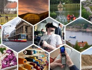 Webinar to celebrate 30 stories of project results