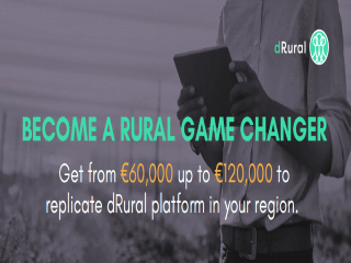 dRural: Open Call for Mirror Regions