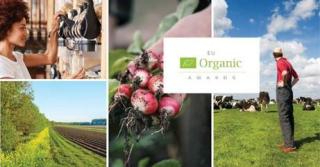 Announcement of the launch of the first EU eco awards