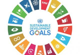 THE ROLE OF SUSTAINABLE DEVELOPMENT IN CRISIS RECOVERY - ONLINE WORKSHOP