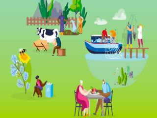 Horizon Europe Brochure: Cluster 6th- Food, Bioeconomy, Natural Resources, Agriculture and Environment