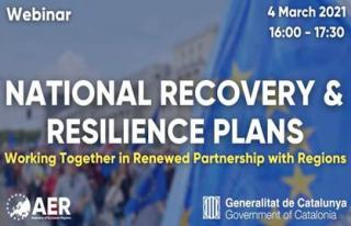 WEBINAR - Recovery and Resilience Instrument (RRF)