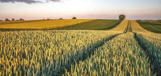 Agroecology: the answer to Europe's agricultural, social and environmental challenges